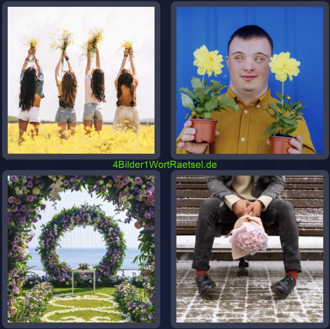 4 Bilder 1 Wort Tagesrätsel Liebe und Freundschaft 3 Februar 2023